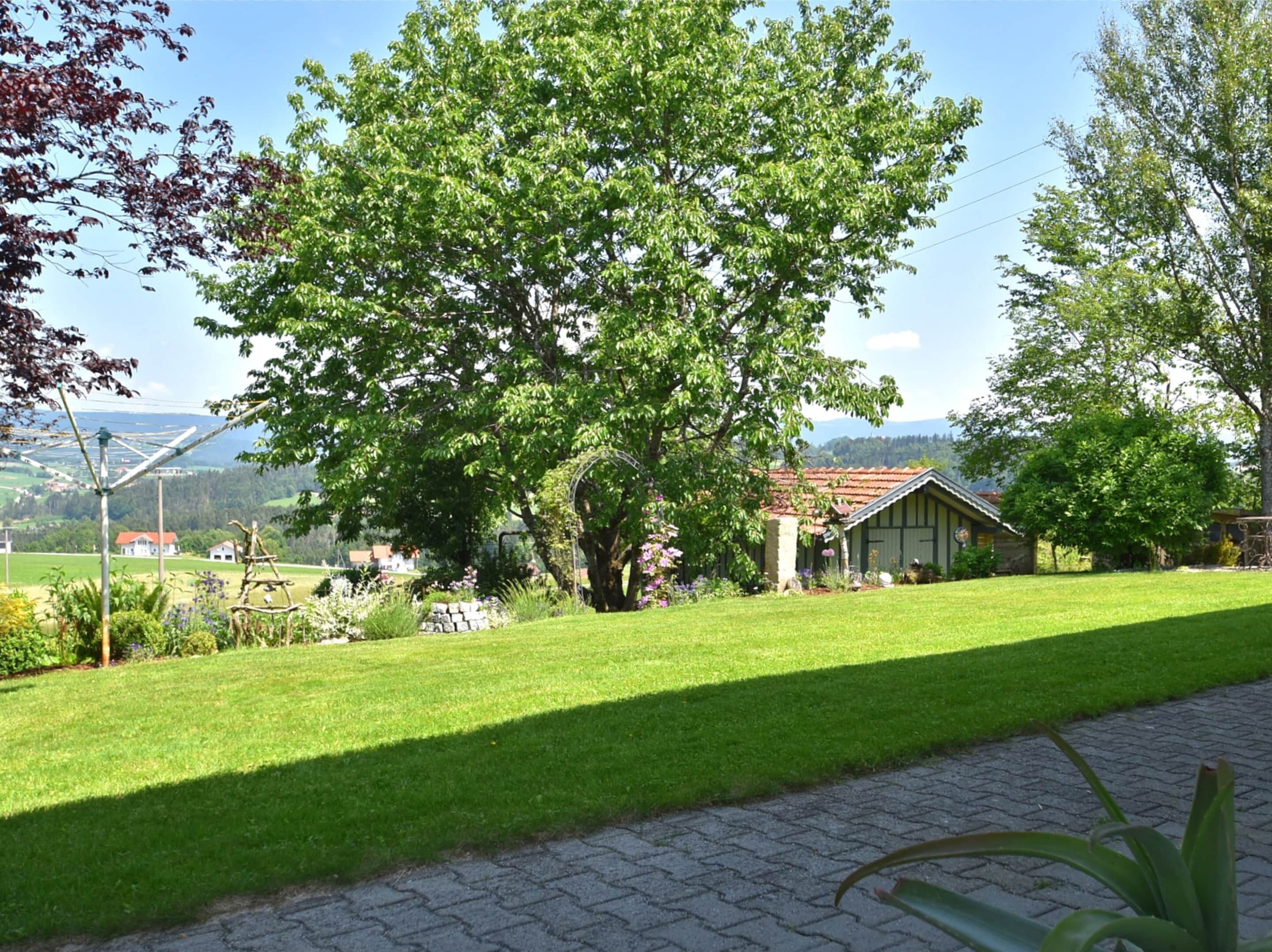 A rural house with a large tree in front, a paved path, and a view of the countryside.