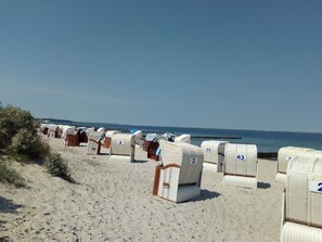 Exterior - Warm Apartment in Mecklenburg Baltic Sea Coast With Terrace (Boergerende-Rethwisch)
