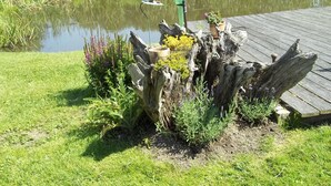 Billede uden beskrivelse, 4 af 26, knap