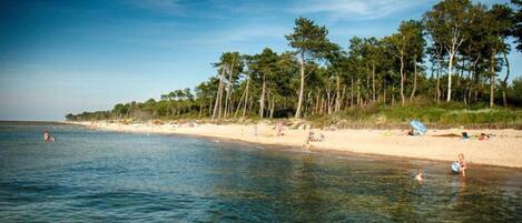 Cottage | View from property