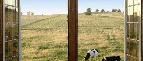 A room with a large window overlooking a grassy field with cows.