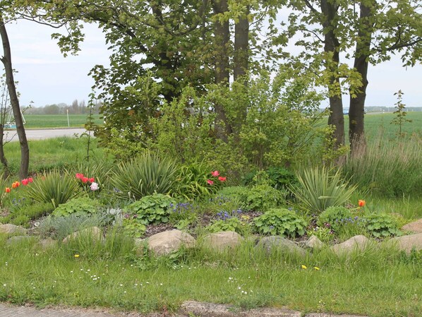 A garden with various plants and flowers, a paved path, and trees in the background.