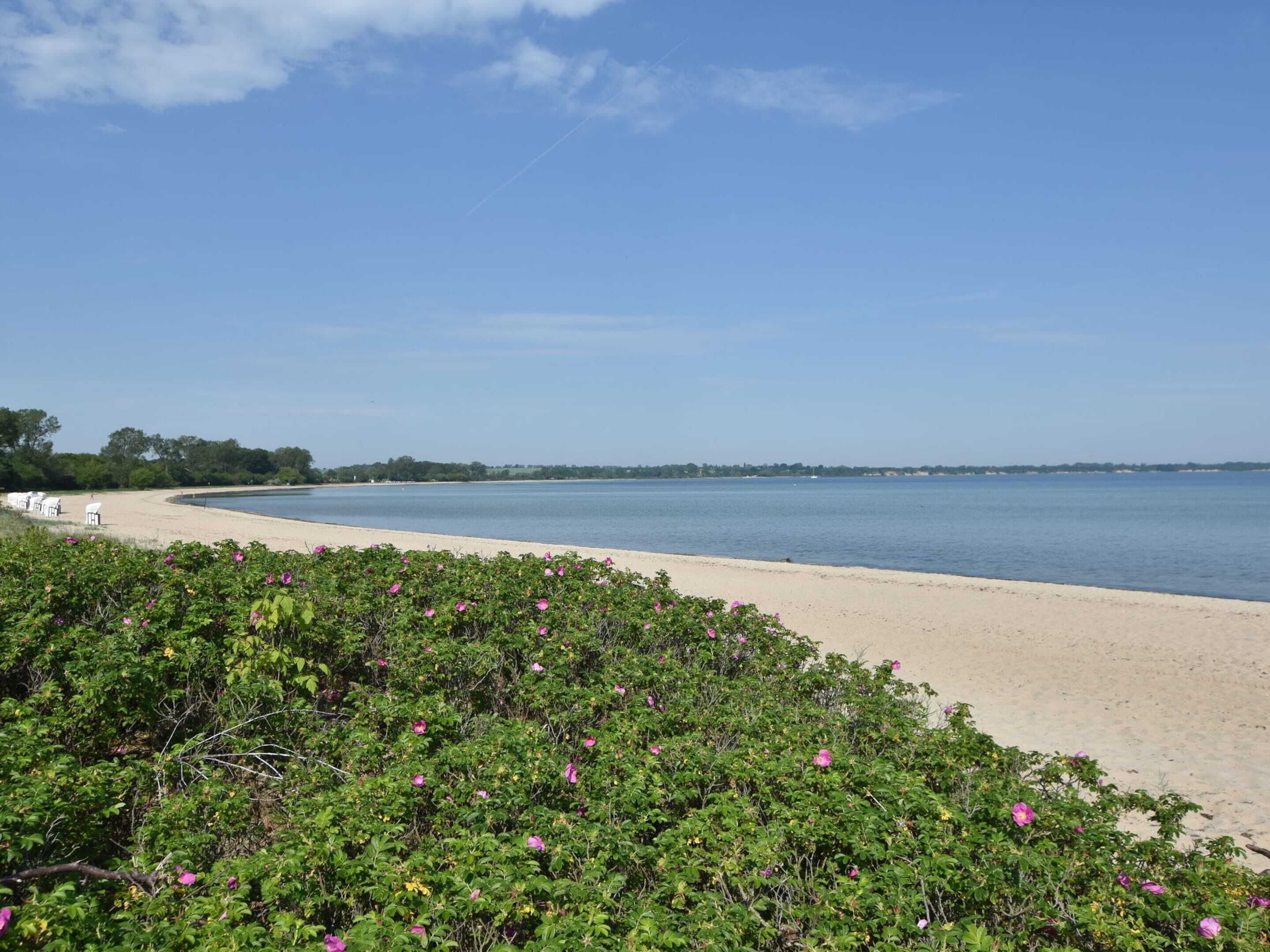 Bungalow | View from property