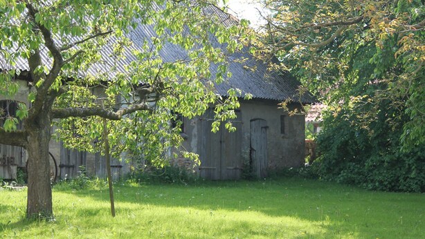 A rustic building with a sloped roof, surrounded by a grassy area with a tree in the foreground. - Charmante Wohnung mit Terrasse in Steffenshagen (Steffenshagen)