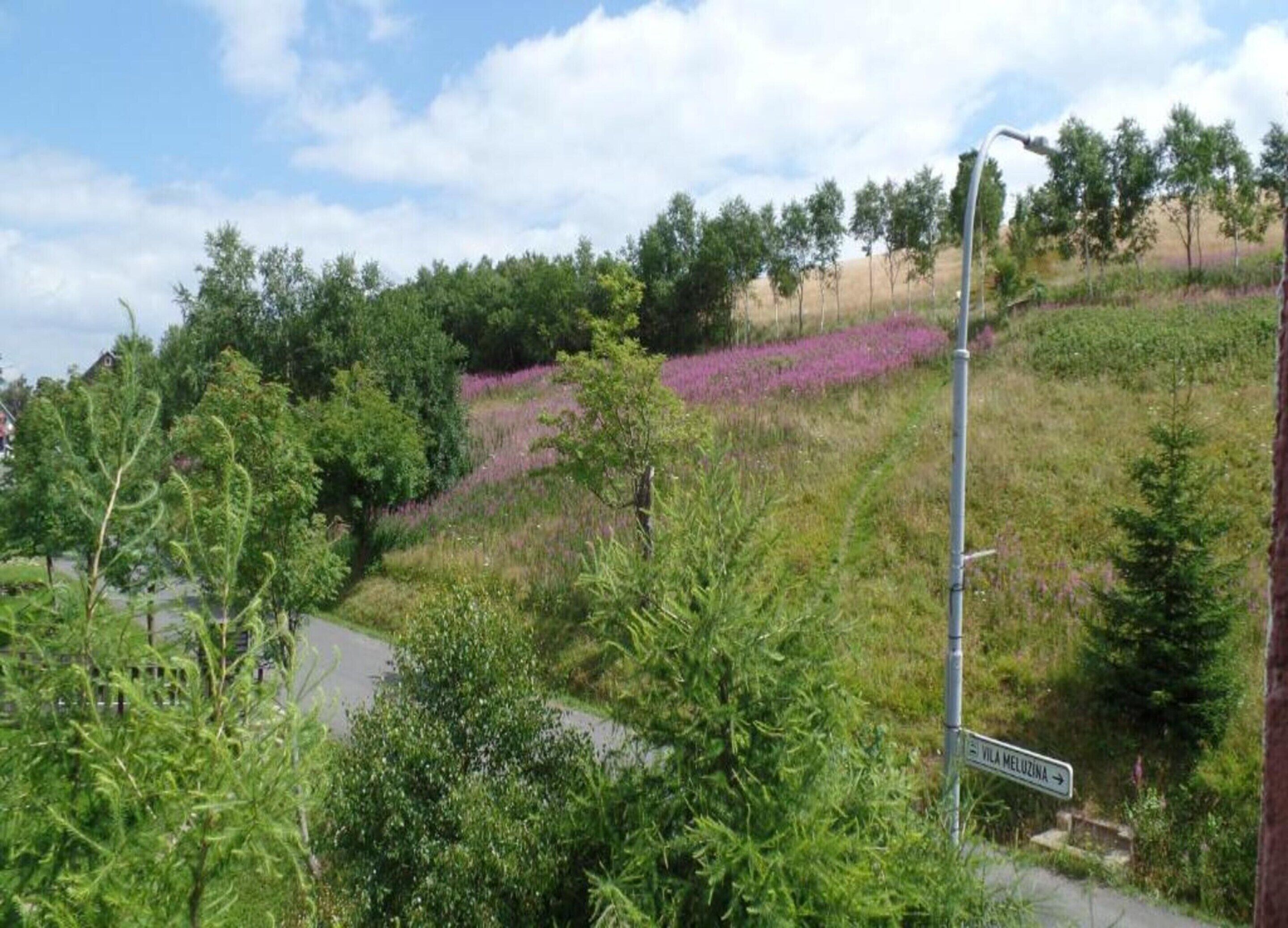 A rural landscape with a road, dense greenery, and purple flowers. A sign indicates the direction to Vila Meluzina.