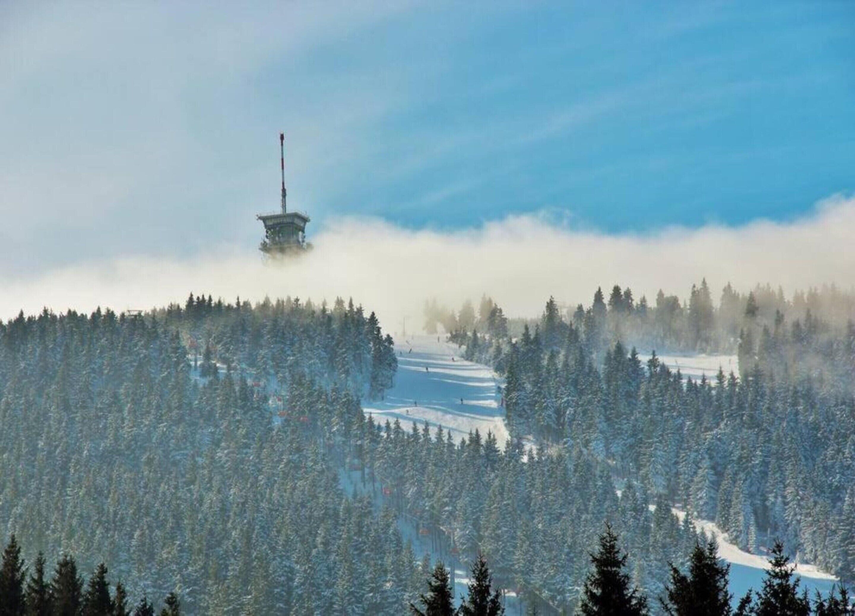 A snow-covered landscape with a tower-like structure amidst dense evergreen trees.