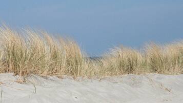 Apartment | View from property