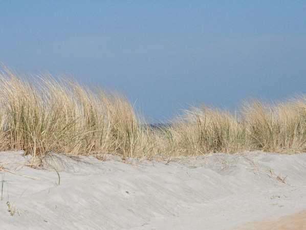 View from property - Steffenshagen Vicarage Retreat (Steffenshagen)