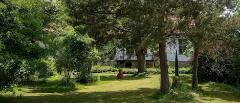 A lush garden with a variety of trees and a pathway leading to a building.