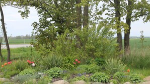 A garden with various plants and flowers, a paved path, and trees in the background. - Sunny Apartment in Wiek, Rugen (Wiek)