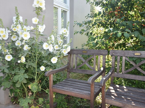 A wooden bench in a garden with white flowers and green foliage.