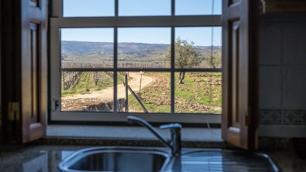 Unclassified image, 1 of 39, button - Holiday Home on Estate With Vineyards, Olive Groves and Swimming Pool (Vila Flor)