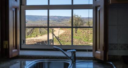 Holiday Home on Estate With Vineyards, Olive Groves and Swimming Pool