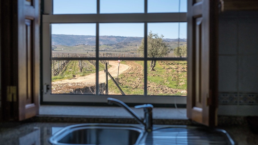 Holiday Home on Estate With Vineyards, Olive Groves and Swimming Pool