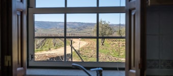 Holiday Home on Estate With Vineyards, Olive Groves and Swimming Pool