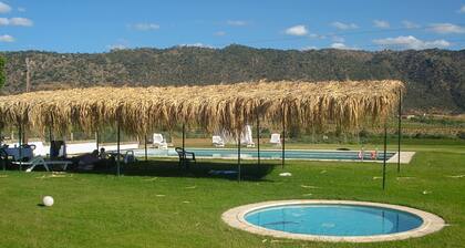 Holiday Home on Estate With Vineyards, Olive Groves and Swimming Pool