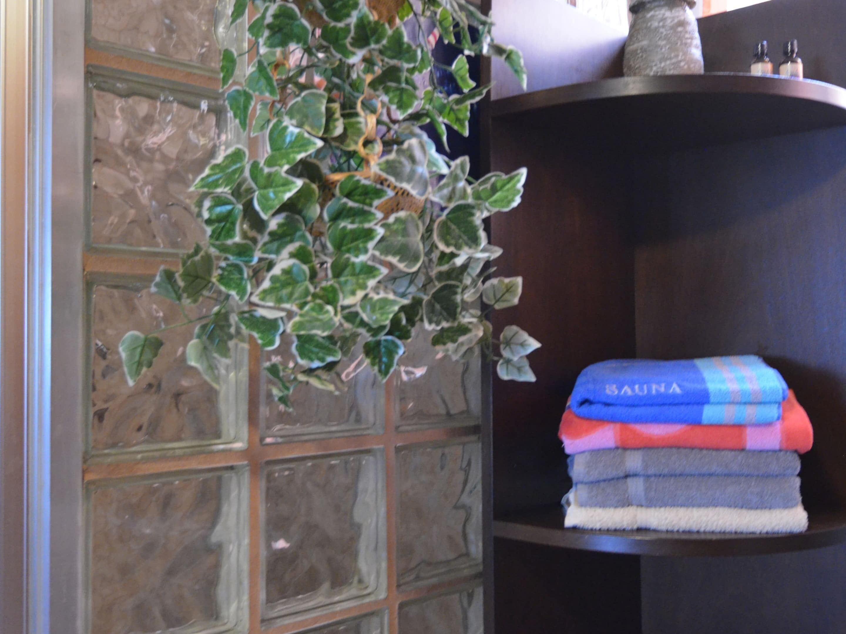 Une salle de bain avec un mur en blocs de verre, une plante suspendue et une pile de serviettes sur une étagère.