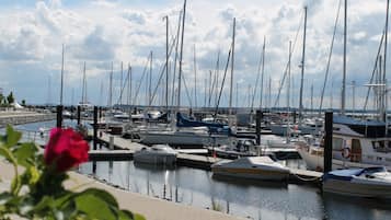 House | View from property