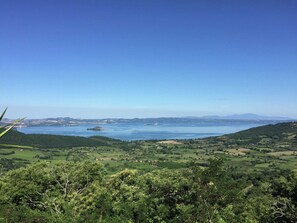 A panoramic view of a coastal landscape with a large body of water, green hills, and a clear sky. - Mansion in Montefiascone Near Rocca dei Papi (Montefiascone)