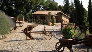 A rustic house with a tiled roof, surrounded by gravel, trees, and a wheelbarrow. - Mansion in Montefiascone Near Rocca dei Papi (Montefiascone)