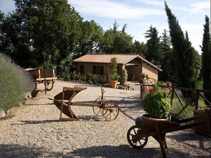 Ferienhaus | Außenbereich