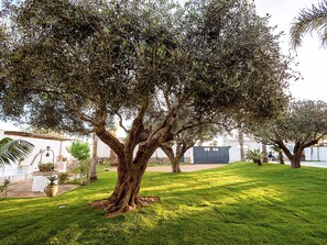 House | Garden - Holiday Home in Marsala Near Sandy Beach (Marsala)