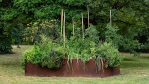 A garden bed with various plants and wooden stakes. - Villa With Panoramic Views (Marciano della Chiana)