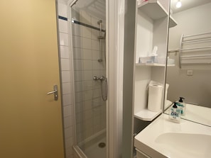 A bathroom with a glass shower enclosure, a white sink with a soap dispenser, and a toilet paper holder on the wall.