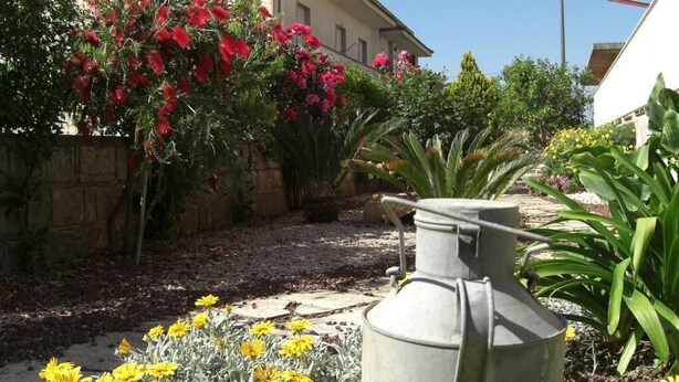 A garden with a variety of plants and flowers, a metal water container, and a building in the background. - Villa Choco (Modica)