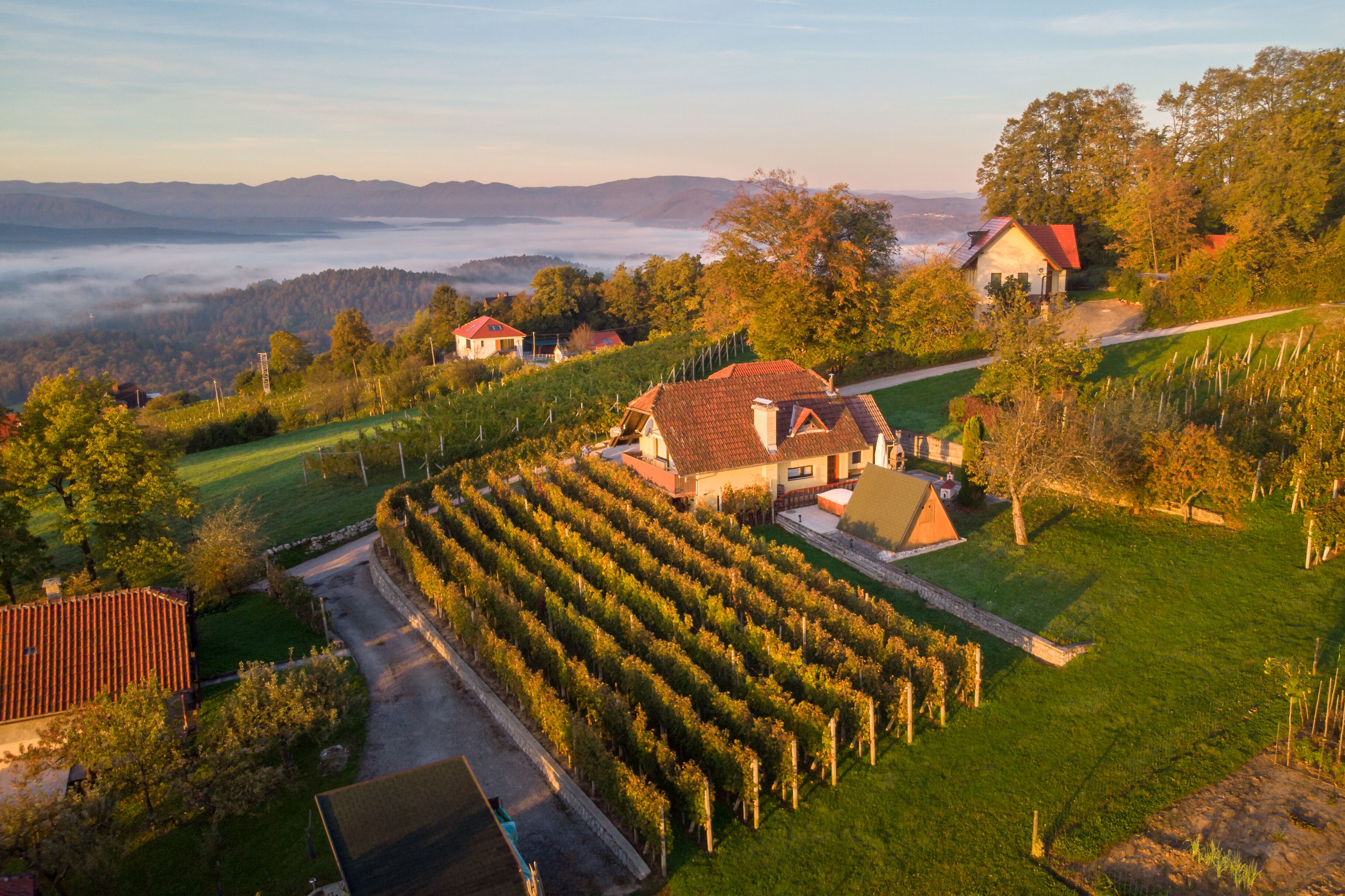 واجهة المنشأة