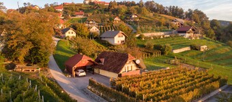 Vineyard Cottage Hocevar