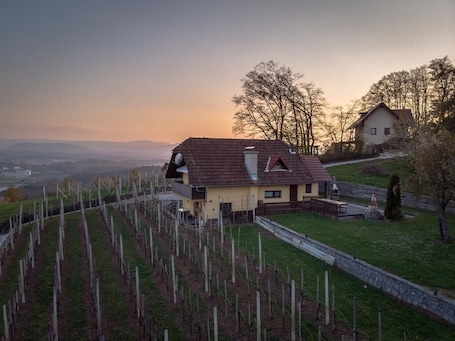 Exterior. Vineyard Cottage Hocevar