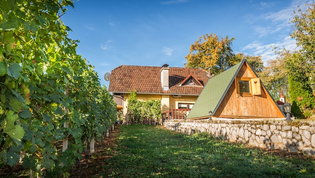 A house with a stone wall, a green roof, and a vineyard in the background.