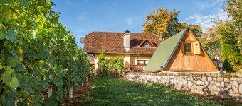Vineyard Cottage Hocevar