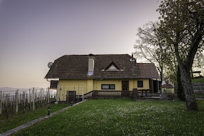 Exterior - Vineyard Cottage Hocevar (Novo Mesto)