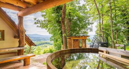 Vineyard cottage Rataj 2