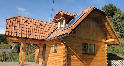 Vineyard cottage Janko in Metka