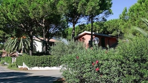 A residential area with a house surrounded by lush greenery and trees.