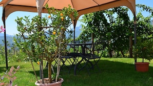 Balcony - Independent Tuscan Holiday Home With Garden and Valley Views (Castiglione di Garfagnana)