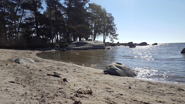 Una playa cerca, bote de remos