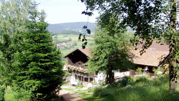 A rural house with a sloped roof, surrounded by lush greenery and a dirt path leading to the entrance. - Chalet in Kollnburg Near St. Englmar Ski Area (Kollnburg)