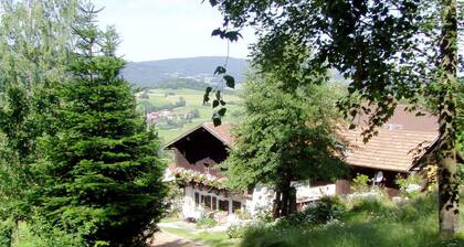 Chalet in Kollnburg Near St. Englmar Ski Area
