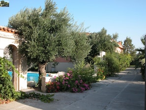 Villa | Garden