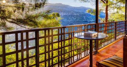 Sprawling Vlilla in Malades