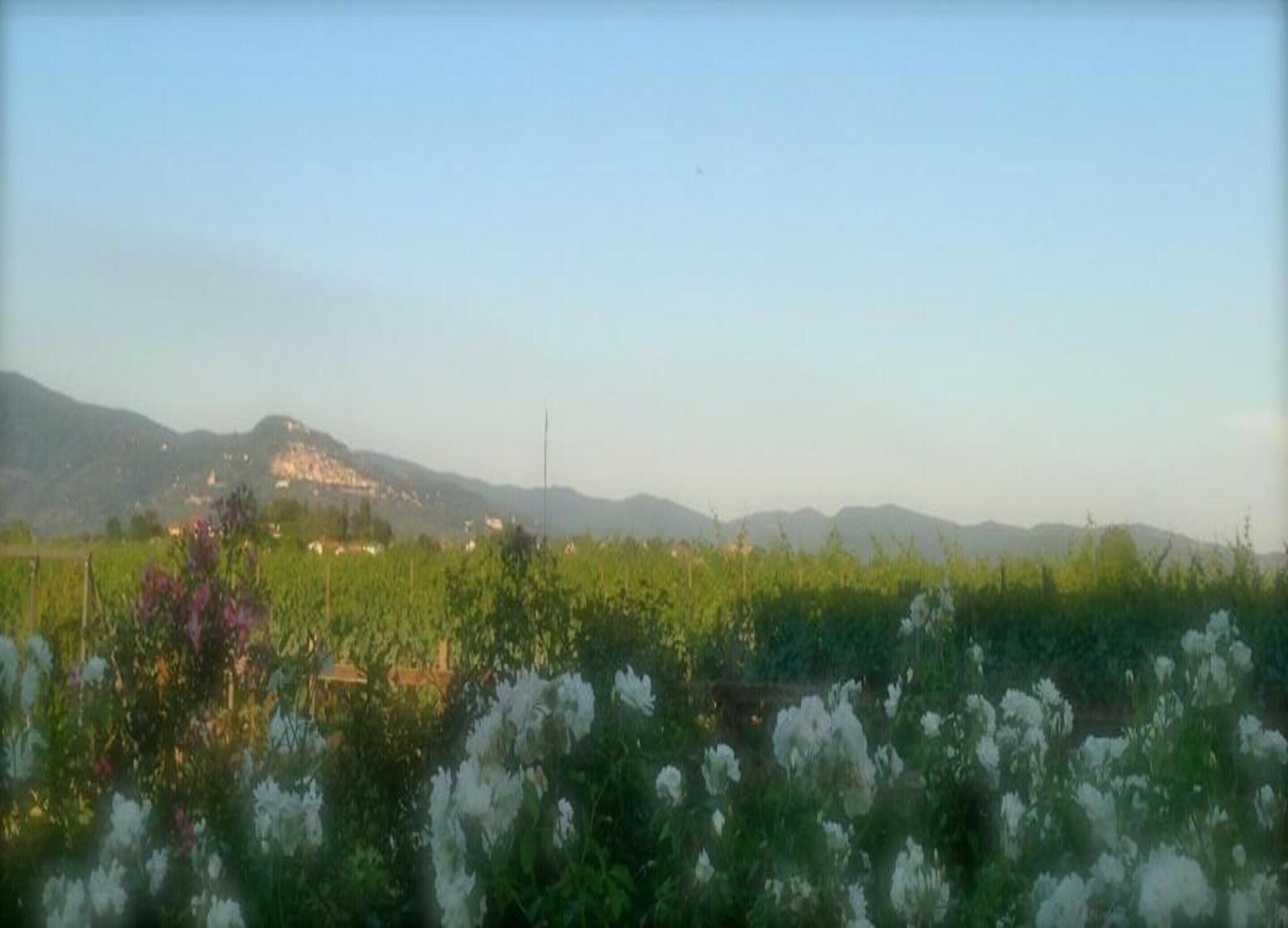 Vue depuis l’hébergement
