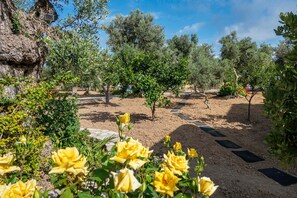 House | Exterior - Modern Holiday Home in Sfakaki (Rethymno)