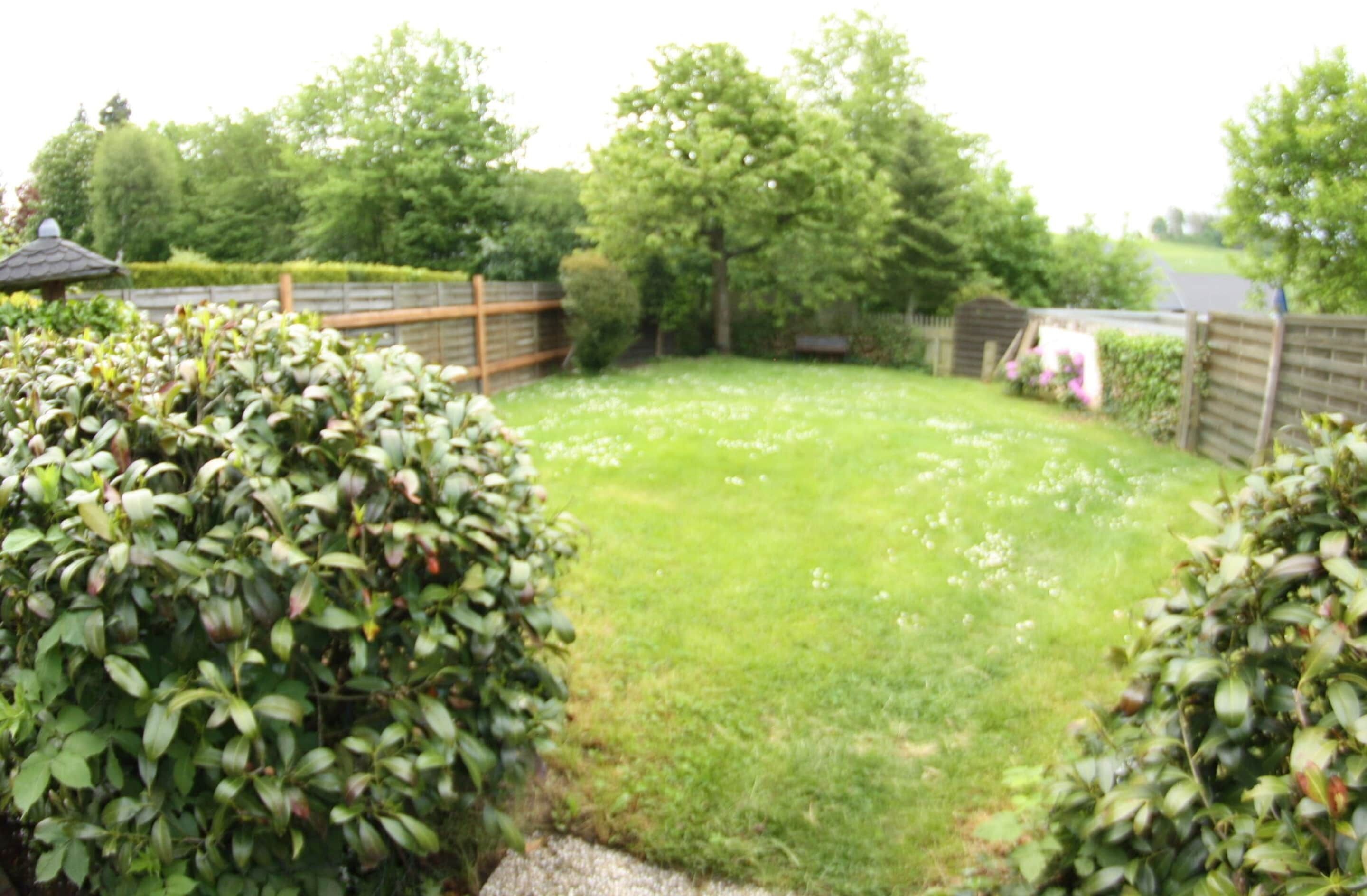 A garden with a wooden fence, a small gazebo, and various shrubs.