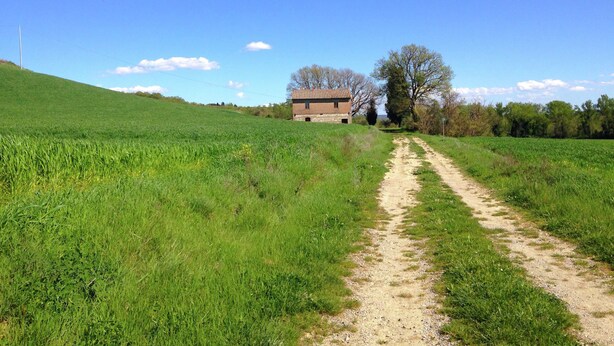 Exterior - Idyllic Farmhouse in Sarteano Tuscany With Shared Pool (Sarteano)
