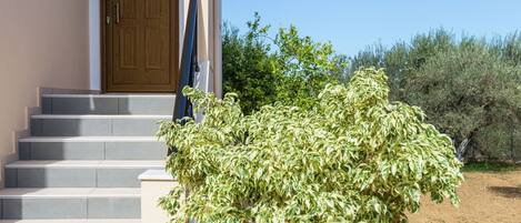 Apartment | Exterior