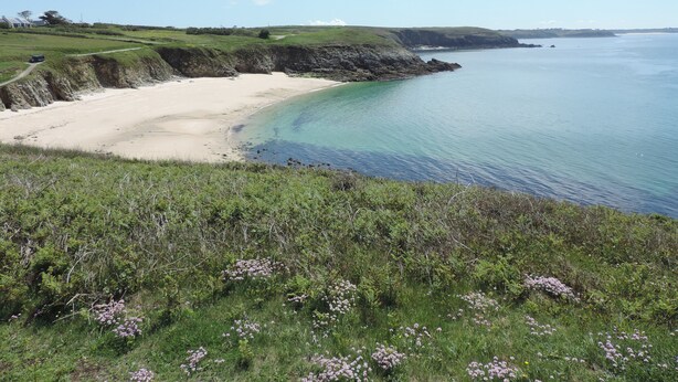 Un paysage côtier avec une plage de sable, des falaises herbeuses et une mer bleue et limpide.